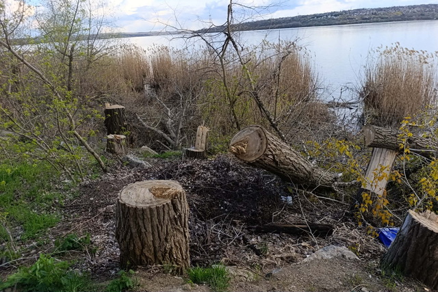 ����� ������ ������� ����� ������ �������� ���������� �����