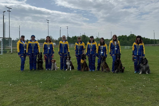 �������� ������ �������� ��������� ����������� �� ���������� ����