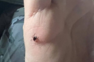 60% � ����������. ������� �� ���������������� ����������� ������� ������� ����� ����� ����� �����