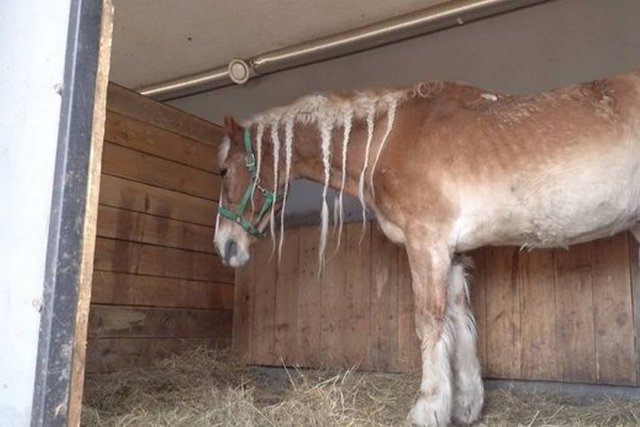 ��� ����� �������� ������ ��������� � ������ �� �����. � ������ ��������� 27-������ ���� �������