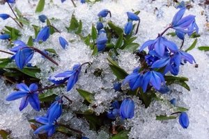 �� ������ � ����� ����: ������� ������ �� ��������� ���