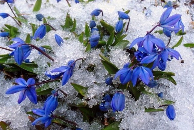 ����� �� � ������ ����� � ����� ������: ������� ������ �� ��������� ���