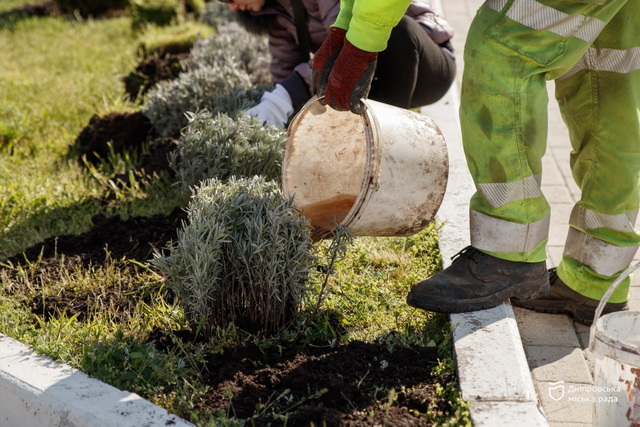 � ����� ���������� ������� ������ #������_�������: ������ ���������� �����, ������ �� �������� ����