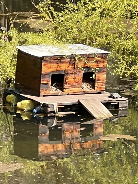 �� ���������� ������ ������� ������� ������