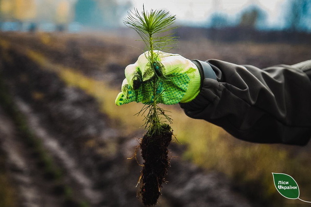 �� ���������������� ����������� ����������� ��� ���