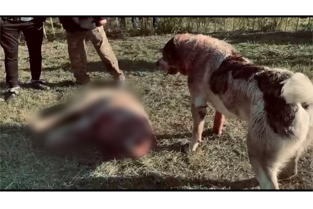 �������������� ������� ��� ������������� ������, ��� �� �������. �� ����� �� �������� ����������� ������ ��