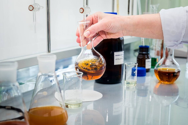 ���� ������ �������� ������������ ����: �� ���������������� �������� �����������  ���������� �������� 