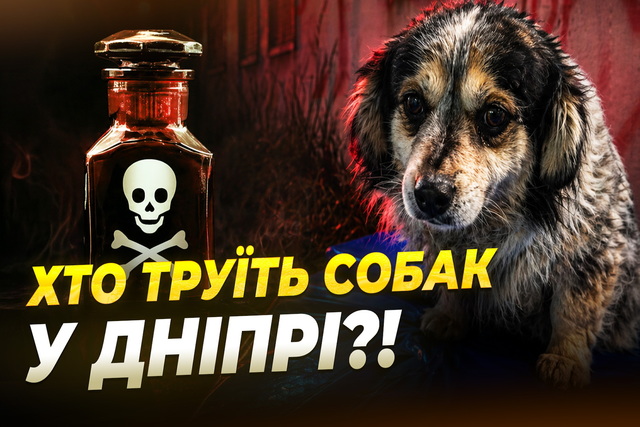 ���������� ����� � ������: ��� ������� ��������� ������������ � ���� ����������� �������