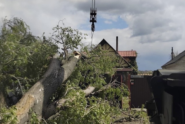 �� ���������������� ����� ������� ����������   ������� ������������� � 161 ������ �����