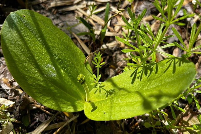 г����� �������� ������: � ����� ������� ������������� ������� 