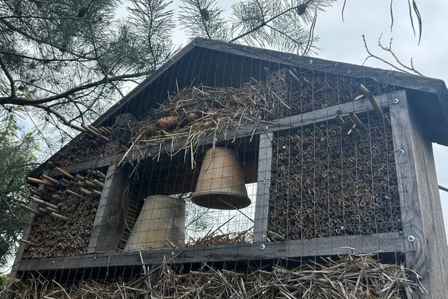 �� �����, ������� �� �����. � ��������� ���������� �������-��������������� ������ �������� ������ ��� �����