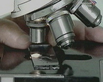 ������������� ������ �������� ��������� ������� �������� ���������������