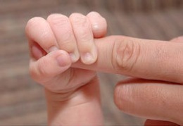 ���������� ������� �������� ���������� ��������� � ��������������� ����� ������� ������