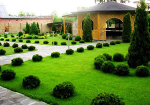 ����������������� �������������� � ������ � �������