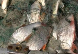 ������������ ��������� �� ������� ��������� ������