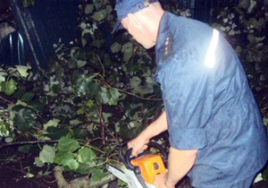 ����������������� ��������� ���������� ������� �� ������, �� ������� ����� ������