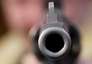 � ������ ���������������� ������� ���������� � ����