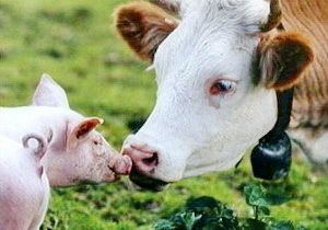 ����� �������������� ������� ������ ���������� ���������� 