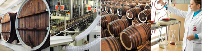 �������������� ����: ���������� ����� �������� �� ���������� ��������� � ��� �������� �������� ��������