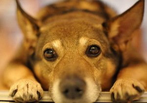 � ��������� ������� ��������, ���������� � ������� ������� ������� ������ ����