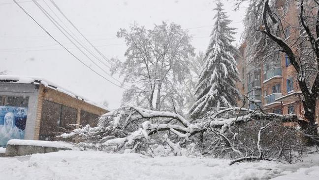  ������� ���������� ���������� �� ����������� ��������� �������