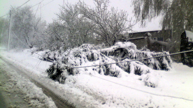 �� ���������� ����������� ������ � ��������� �������� 60 ����� ������