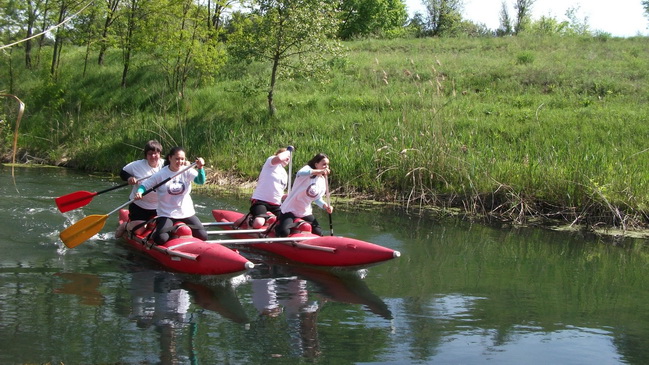 � ��������� ���������� ������������ �� ����������� ������� �������