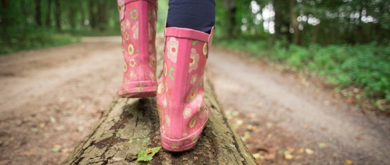 ���� ������: ����������� ���������� ��� ���� ������ ��������� �������