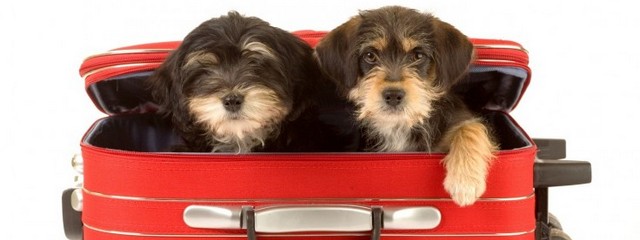 � ������� ���������� ������� ��������� �������� ��������