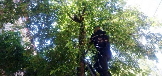 � ������ ��������� ����� ���� � ������