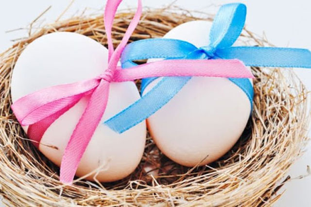 Донация: показания, подготовка, анализы, проведение