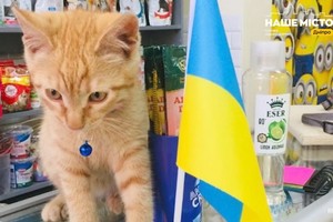 ĳ������� ��-�� ������: �� �������� ����������� ��������� � ����� �������� ������ ���� �����
