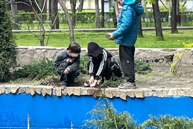 � ��������� ���� �������� ������������� ��������� � ������� ����� 