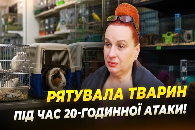 ���� �������� ���� � ������: �� ������������ ���������� � ������-����� ���� ���������� �����