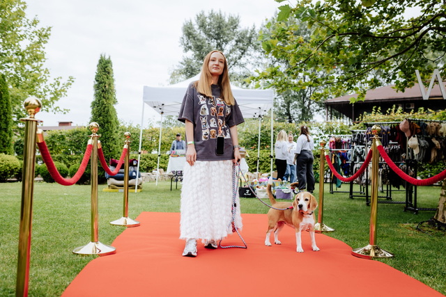 Басейн для собак, кіно просто неба та літній вайб: у Дніпрі пройде DOGS GURU FEST 2026