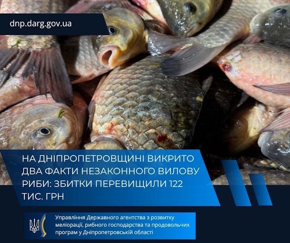 Збитки перевищили 122 тисяч грн: у передмістях Дніпра виявили 2 браконьєрів