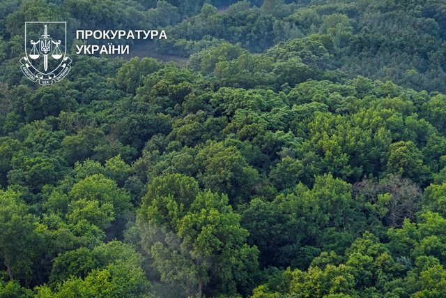 Прокуратура через суд требует вернуть государству более 25 га земель лесного фонда на Криворожье