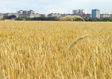 ������� ����� ������ ��������� � ��������� ���������