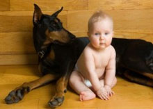 ������������� ���� ������ �����