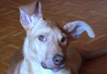 ��������� ����� �� ��� �����