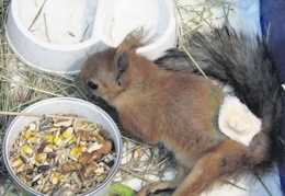 �� ����� ����� ������� �������� 