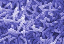 ����� �� ��������� ��������� ��������������� ������ � ������ ��������