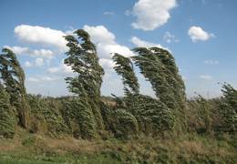 �������� �������� ��� ����� 169 ���������� ������� �������