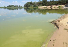 ������� ����� ��� ������