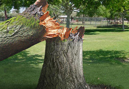 ������� ����� ������ ������ � �����