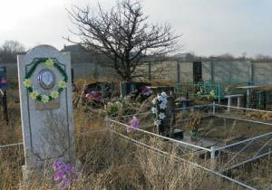 ������ ���������� �������� ��������������