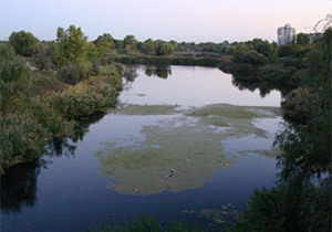 �� ����� ������ ������� �������