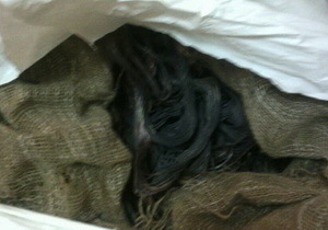 � ���������������� ��������� ������� � 15 ������� ����������� �������