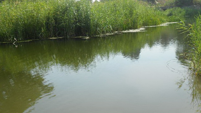 ��������� ����� ���������� ������� �� �����