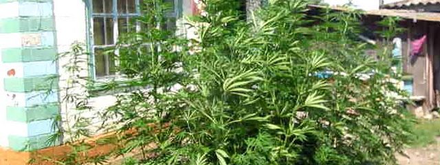 �� ���������������� ��������� ������� ��������� ����������� ������ �� ����� ������ �������� �������